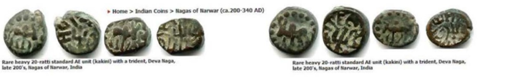 Not-Your-Usual-Weird-Ancient-Coin---Nagas-Of-Narwar?